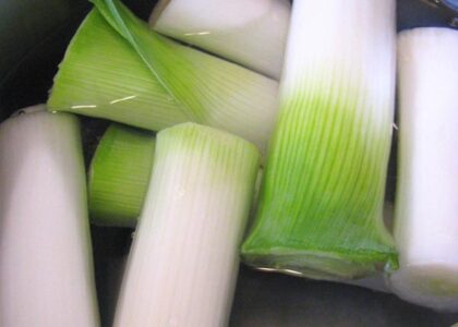 Leeks Au Gratin Image